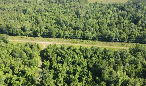 Photo #4 of TBD Vantage Ln, Moncks Corner, SC 79.0 acres
