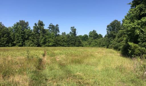 Photo #12 of TBD Vantage Ln, Moncks Corner, SC 79.0 acres
