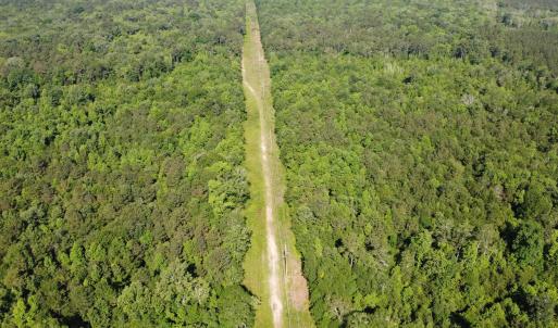 Photo #15 of TBD Vantage Ln, Moncks Corner, SC 79.0 acres