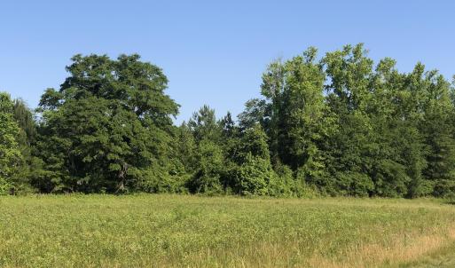 Photo #9 of TBD Vantage Ln, Moncks Corner, SC 79.0 acres