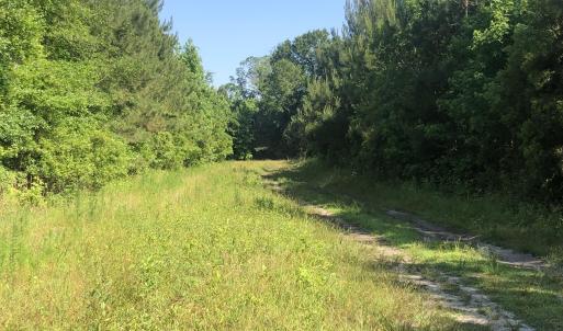 Photo #16 of TBD Vantage Ln, Moncks Corner, SC 79.0 acres