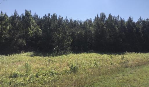 Photo #13 of TBD Vantage Ln, Moncks Corner, SC 79.0 acres
