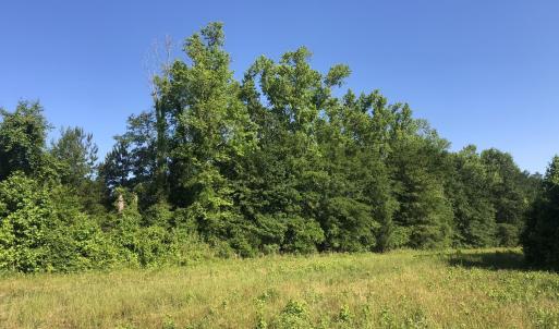Photo #10 of TBD Vantage Ln, Moncks Corner, SC 79.0 acres