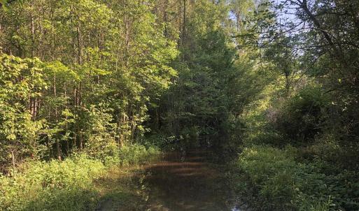 Photo #11 of TBD Vantage Ln, Moncks Corner, SC 79.0 acres