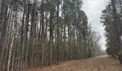 Photo #21 of TBD Hunters Chapel Rd, Ehrhardt, SC 736.0 acres