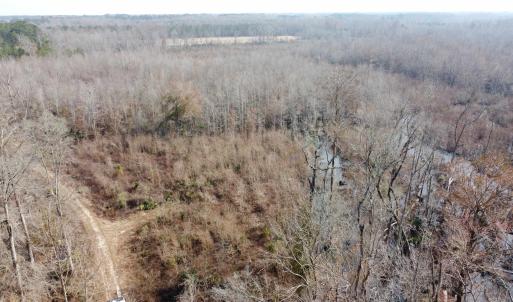 Photo #7 of TBD Hunters Chapel Rd, Ehrhardt, SC 736.0 acres