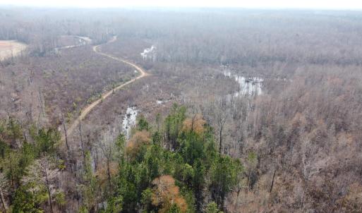 Photo #10 of TBD Hunters Chapel Rd, Ehrhardt, SC 736.0 acres