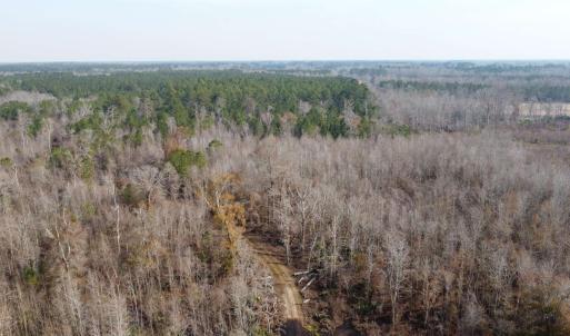 Photo #3 of TBD Hunters Chapel Rd, Ehrhardt, SC 736.0 acres