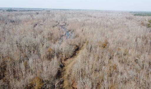 Photo #5 of TBD Hunters Chapel Rd, Ehrhardt, SC 736.0 acres