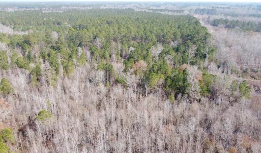 Photo #8 of TBD Hunters Chapel Rd, Ehrhardt, SC 736.0 acres
