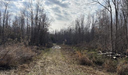 Photo #52 of TBD Hunters Chapel Rd, Ehrhardt, SC 736.0 acres
