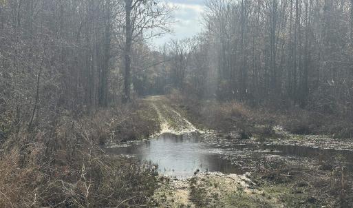 Photo #30 of TBD Hunters Chapel Rd, Ehrhardt, SC 736.0 acres