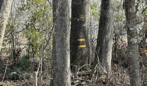 Photo #35 of TBD Hunters Chapel Rd, Ehrhardt, SC 736.0 acres