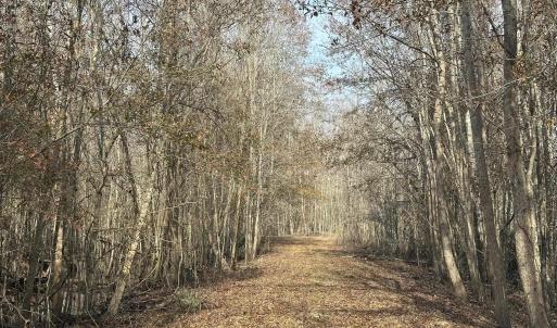 Photo #40 of TBD Hunters Chapel Rd, Ehrhardt, SC 736.0 acres