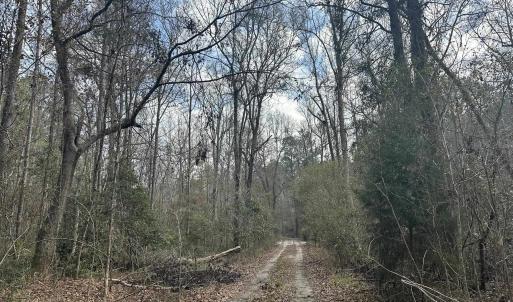 Photo #23 of TBD Hunters Chapel Rd, Ehrhardt, SC 736.0 acres