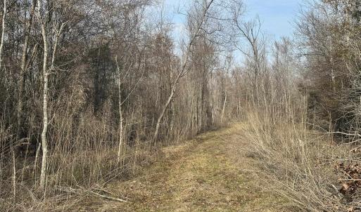 Photo #38 of TBD Hunters Chapel Rd, Ehrhardt, SC 736.0 acres
