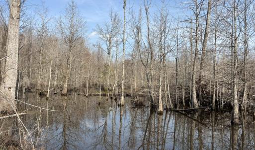 Photo #55 of TBD Hunters Chapel Rd, Ehrhardt, SC 736.0 acres