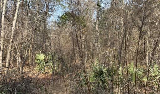 Photo #54 of TBD Hunters Chapel Rd, Ehrhardt, SC 736.0 acres