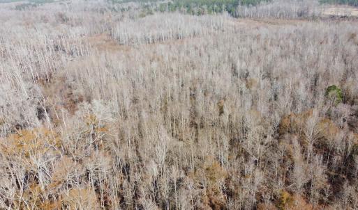 Photo #14 of TBD Hunters Chapel Rd, Ehrhardt, SC 736.0 acres