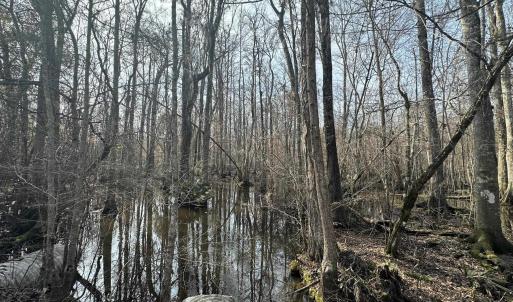 Photo #42 of TBD Hunters Chapel Rd, Ehrhardt, SC 736.0 acres