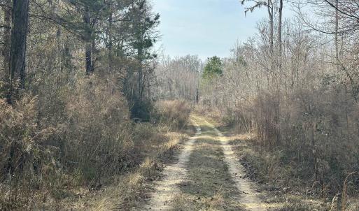 Photo #36 of TBD Hunters Chapel Rd, Ehrhardt, SC 736.0 acres