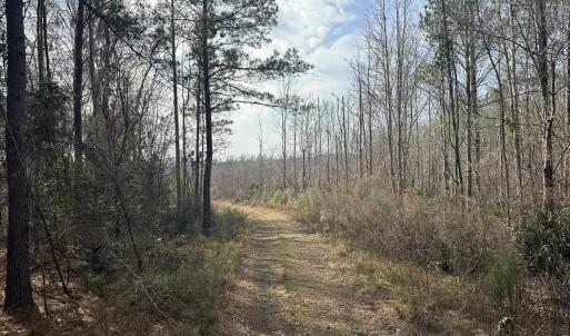 Photo #28 of TBD Hunters Chapel Rd, Ehrhardt, SC 736.0 acres