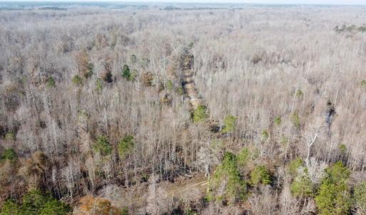 Photo #9 of TBD Hunters Chapel Rd, Ehrhardt, SC 736.0 acres