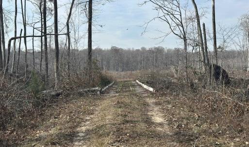 Photo #36 of TBD Hunters Chapel Rd, Ehrhardt, SC 736.0 acres
