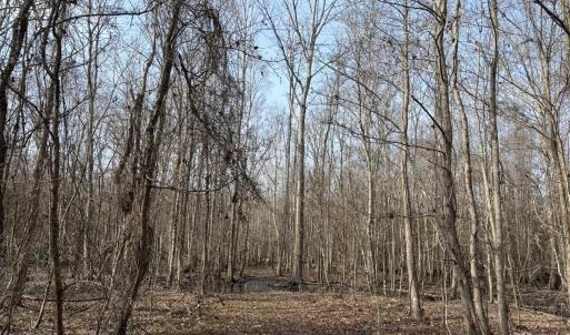 Photo #43 of TBD Hunters Chapel Rd, Ehrhardt, SC 736.0 acres