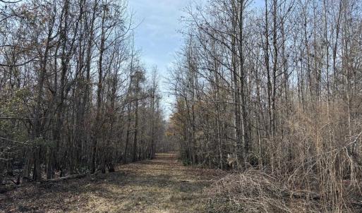 Photo #49 of TBD Hunters Chapel Rd, Ehrhardt, SC 736.0 acres