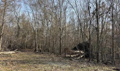 Photo #47 of TBD Hunters Chapel Rd, Ehrhardt, SC 736.0 acres