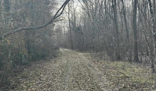 Photo #23 of TBD Hunters Chapel Rd, Ehrhardt, SC 736.0 acres