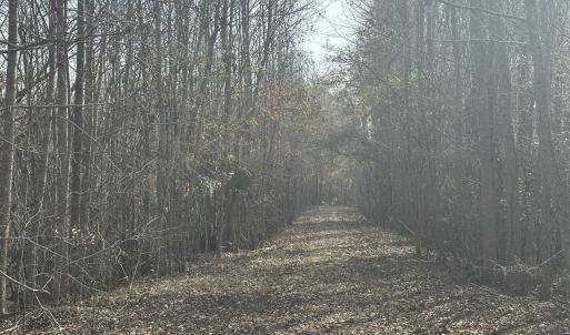Photo #35 of TBD Hunters Chapel Rd, Ehrhardt, SC 736.0 acres