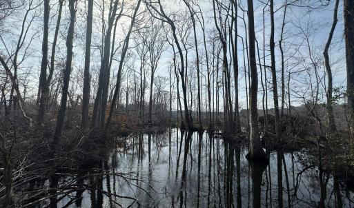 Photo #39 of TBD Hunters Chapel Rd, Ehrhardt, SC 736.0 acres