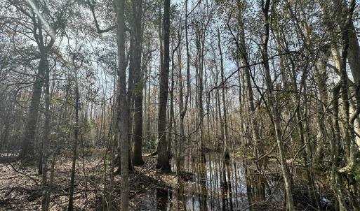 Photo #33 of TBD Hunters Chapel Rd, Ehrhardt, SC 736.0 acres