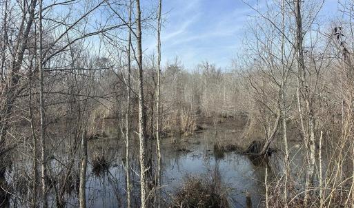 Photo #31 of TBD Hunters Chapel Rd, Ehrhardt, SC 736.0 acres