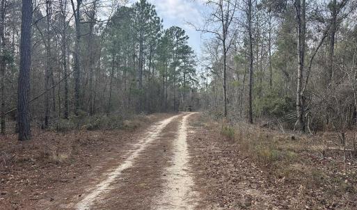 Photo #22 of TBD Hunters Chapel Rd, Ehrhardt, SC 736.0 acres