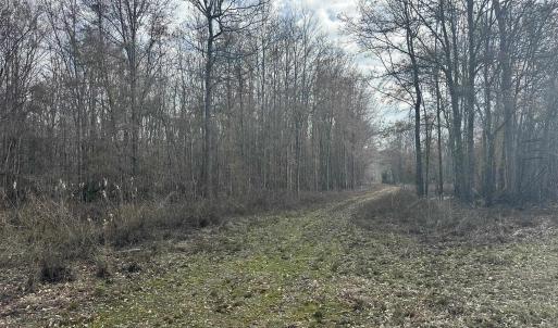 Photo #25 of TBD Hunters Chapel Rd, Ehrhardt, SC 736.0 acres