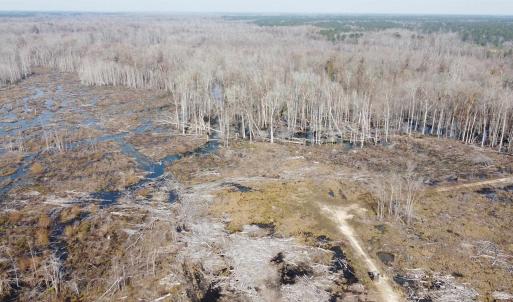 Photo #15 of TBD Hunters Chapel Rd, Ehrhardt, SC 736.0 acres