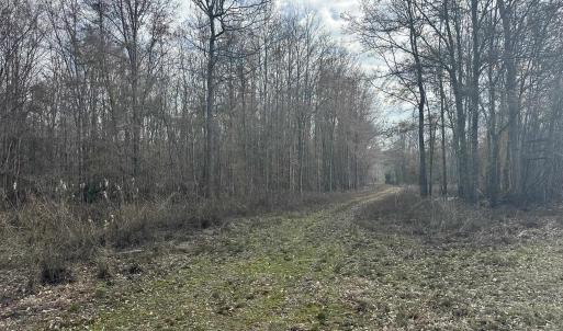 Photo #30 of TBD Hunters Chapel Rd, Ehrhardt, SC 736.0 acres