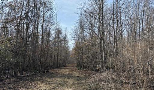 Photo #56 of TBD Hunters Chapel Rd, Ehrhardt, SC 736.0 acres
