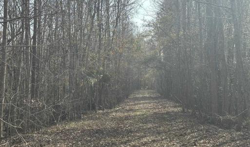 Photo #41 of TBD Hunters Chapel Rd, Ehrhardt, SC 736.0 acres