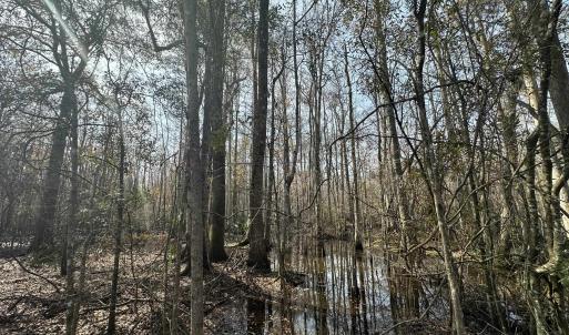 Photo #39 of TBD Hunters Chapel Rd, Ehrhardt, SC 736.0 acres