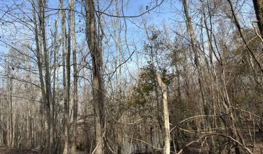 Photo #55 of TBD Hunters Chapel Rd, Ehrhardt, SC 736.0 acres