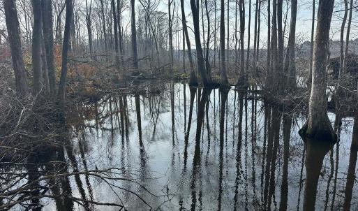 Photo #44 of TBD Hunters Chapel Rd, Ehrhardt, SC 736.0 acres