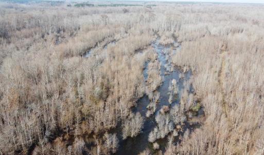 Photo #6 of TBD Hunters Chapel Rd, Ehrhardt, SC 736.0 acres