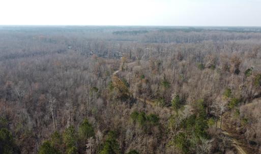 Photo #11 of TBD Hunters Chapel Rd, Ehrhardt, SC 736.0 acres