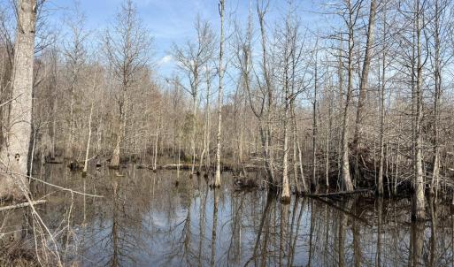 Photo #53 of TBD Hunters Chapel Rd, Ehrhardt, SC 736.0 acres