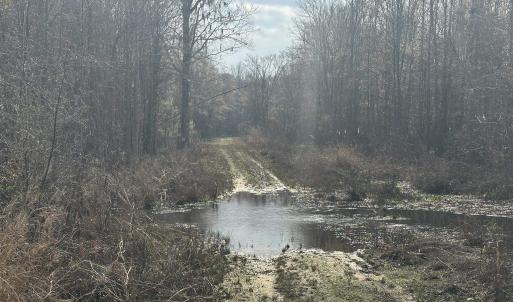 Photo #28 of TBD Hunters Chapel Rd, Ehrhardt, SC 736.0 acres