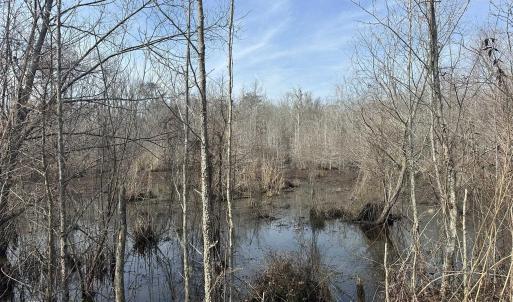 Photo #37 of TBD Hunters Chapel Rd, Ehrhardt, SC 736.0 acres